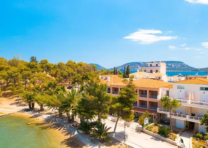 Bisti 게스트하우스